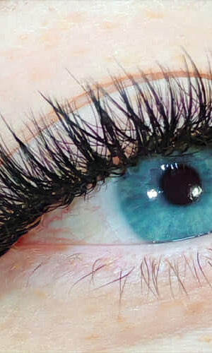 ladybuglashes lashglue lashtrays lashadhesive glueretention cloverlashes wlashes yylashes premades promades lashes