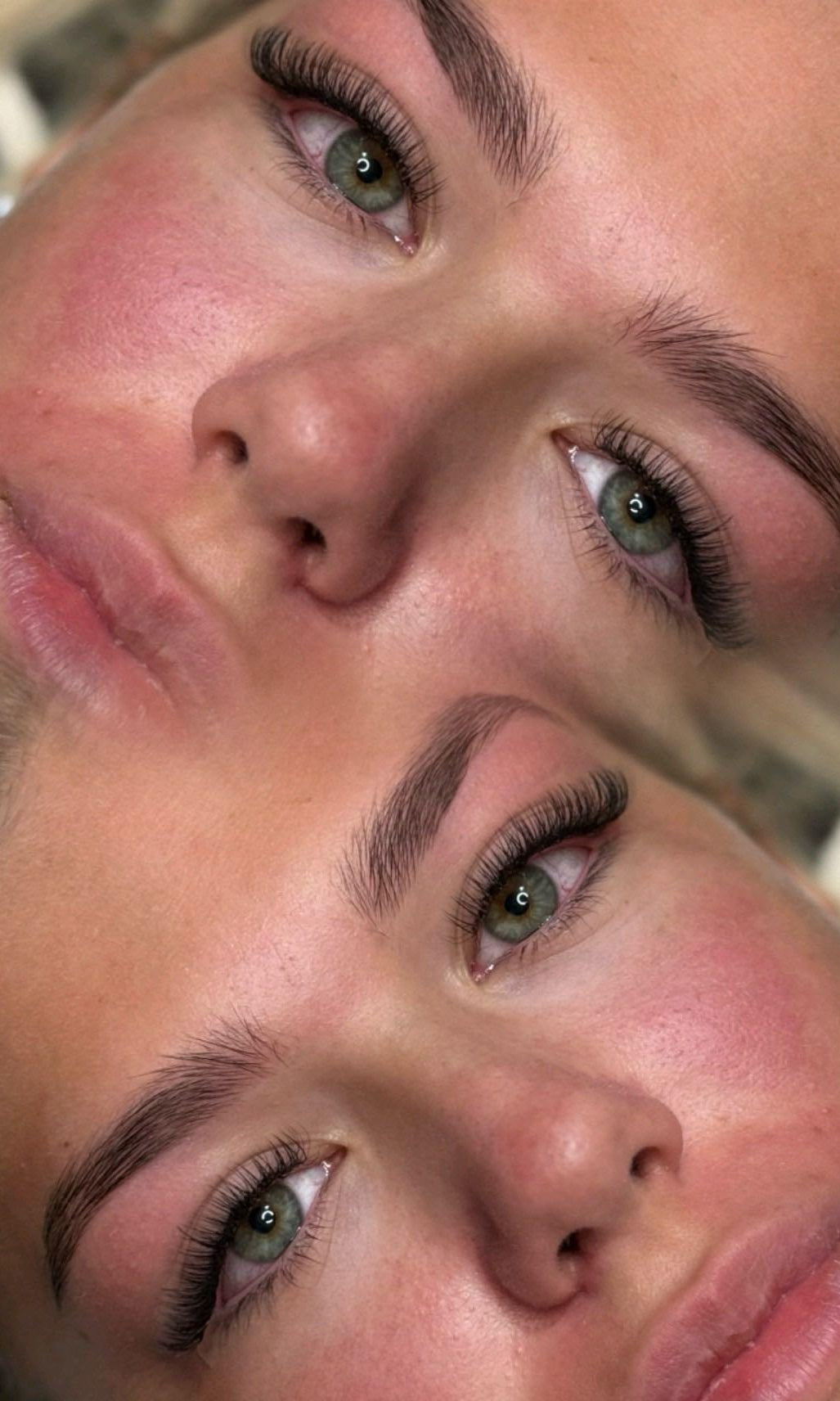 ladybuglashes lashglue lashtrays lashadhesive glueretention cloverlashes wlashes yylashes premades promades lashes