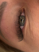 ladybuglashes lashglue lashtrays lashadhesive glueretention cloverlashes wlashes yylashes premades promades lashes