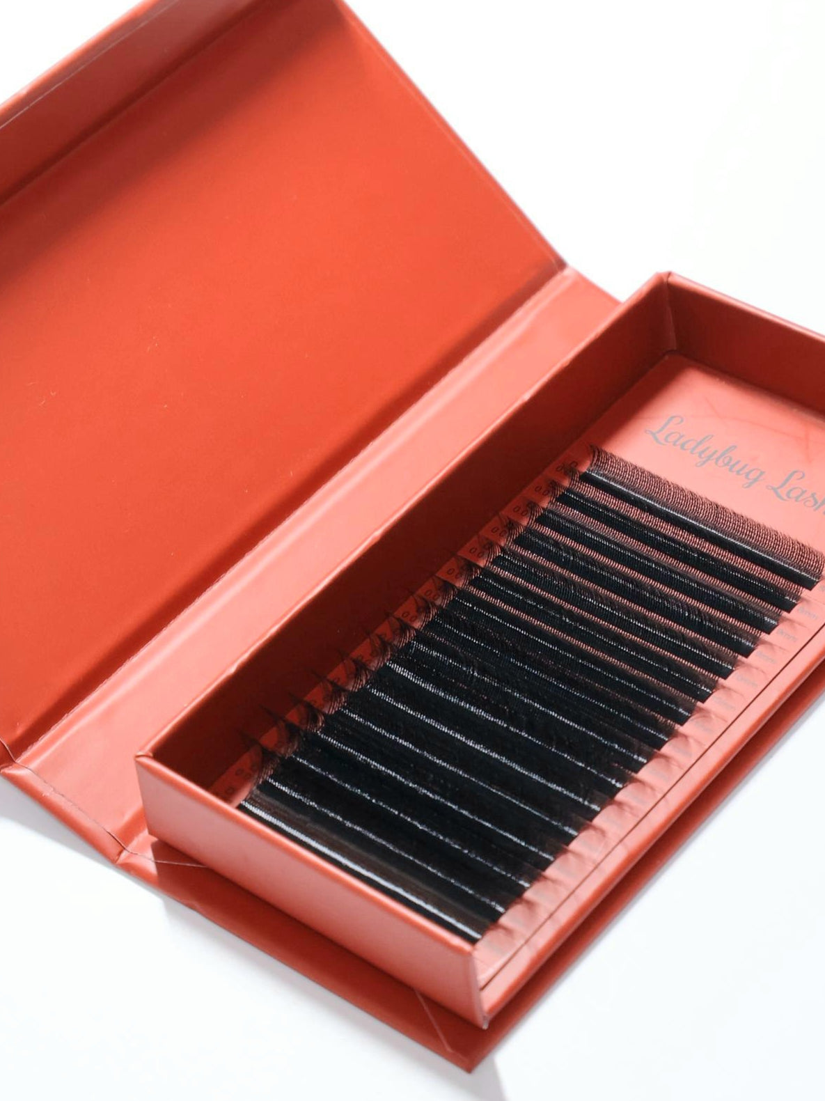 ladybuglashes lashglue lashtrays lashadhesive glueretention cloverlashes wlashes yylashes premades promades lashes