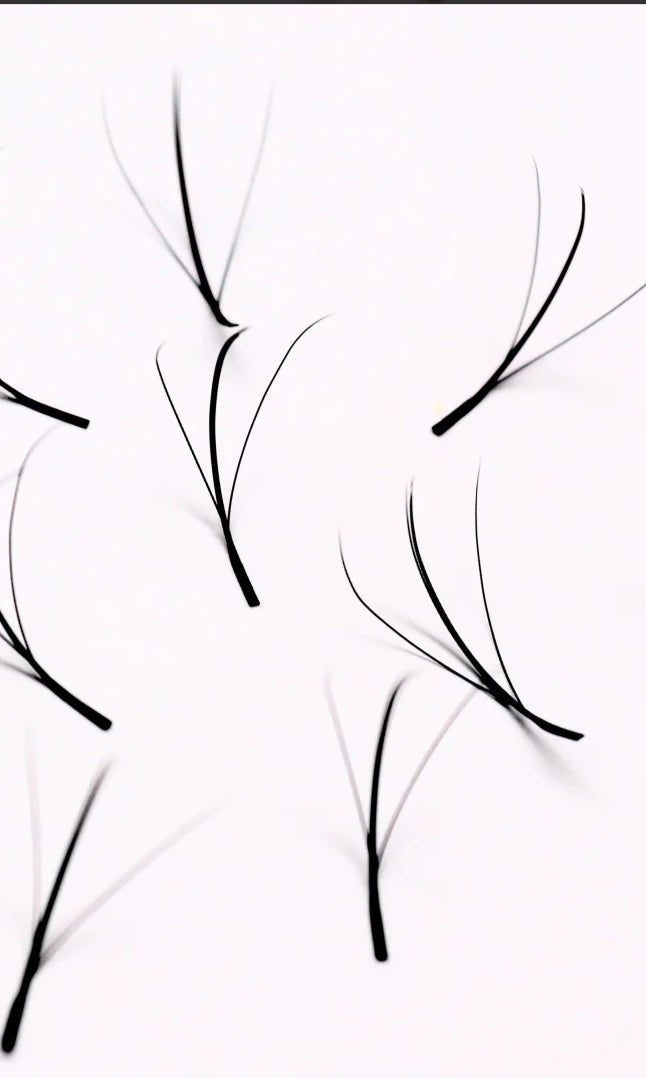 ladybuglashes lashglue lashtrays lashadhesive glueretention cloverlashes wlashes yylashes premades promades lashes