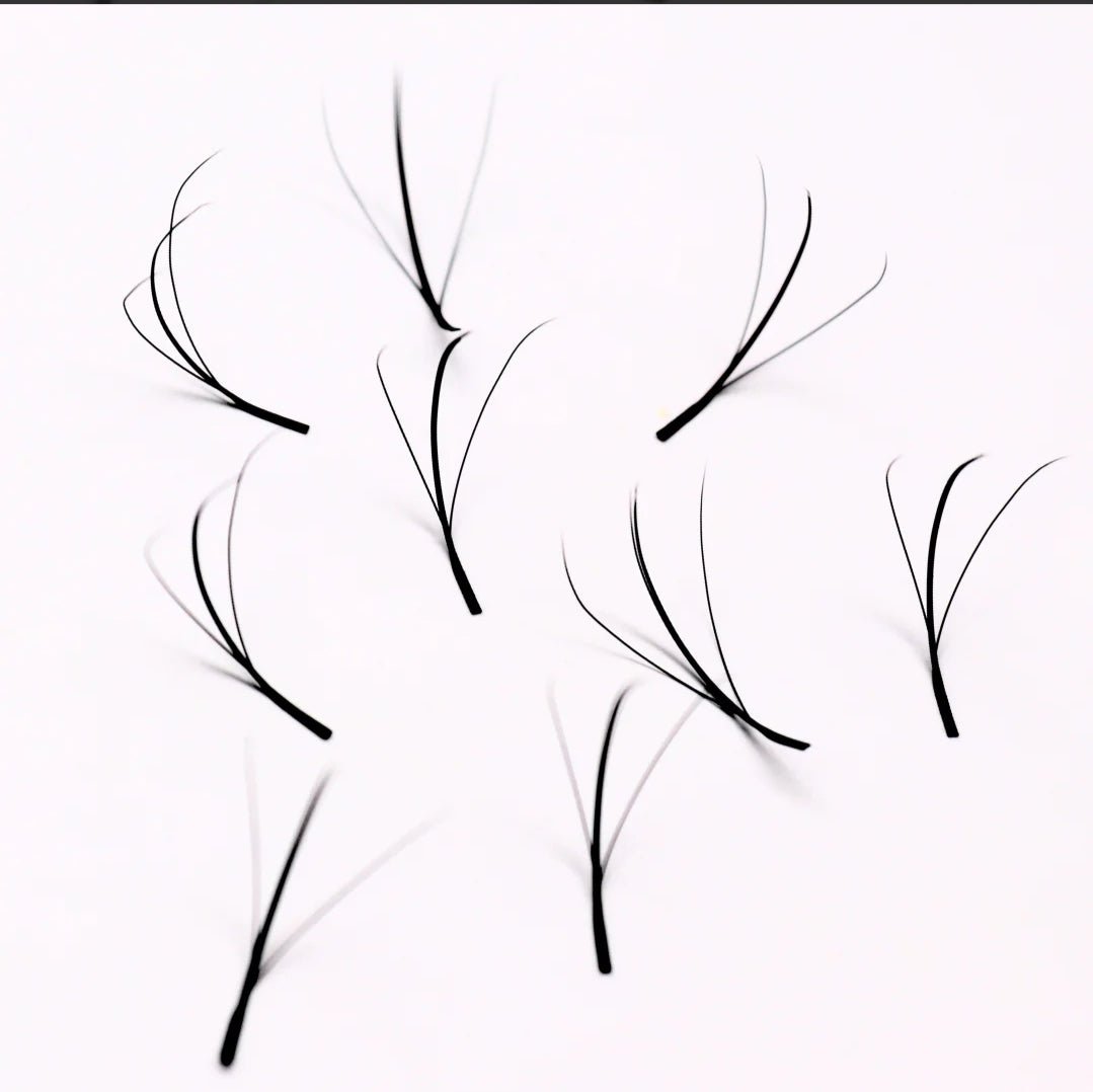 ladybuglashes lashglue lashtrays lashadhesive glueretention cloverlashes wlashes yylashes premades promades lashes