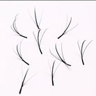 ladybuglashes lashglue lashtrays lashadhesive glueretention cloverlashes wlashes yylashes premades promades lashes