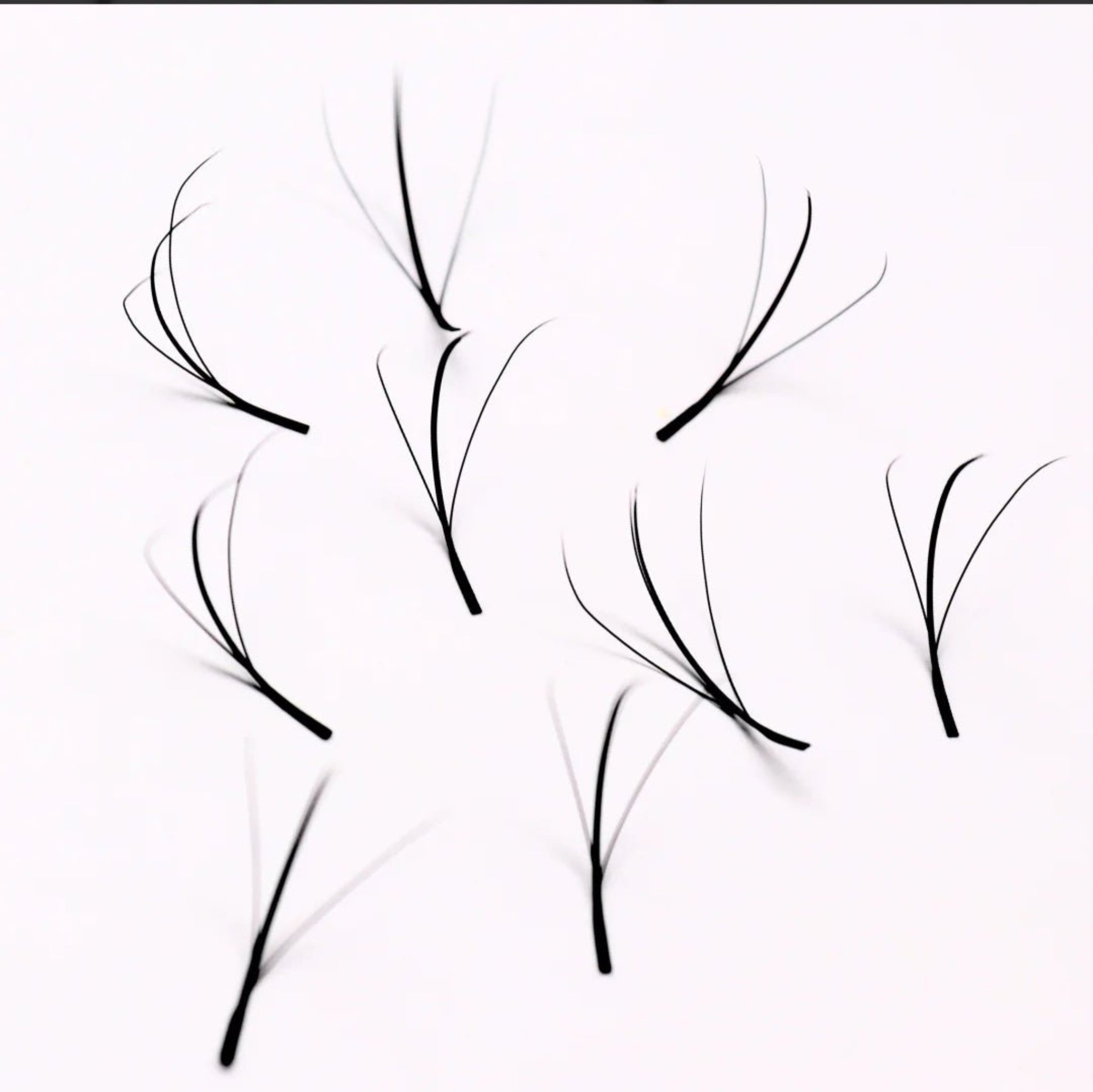 ladybuglashes lashglue lashtrays lashadhesive glueretention cloverlashes wlashes yylashes premades promades lashes
