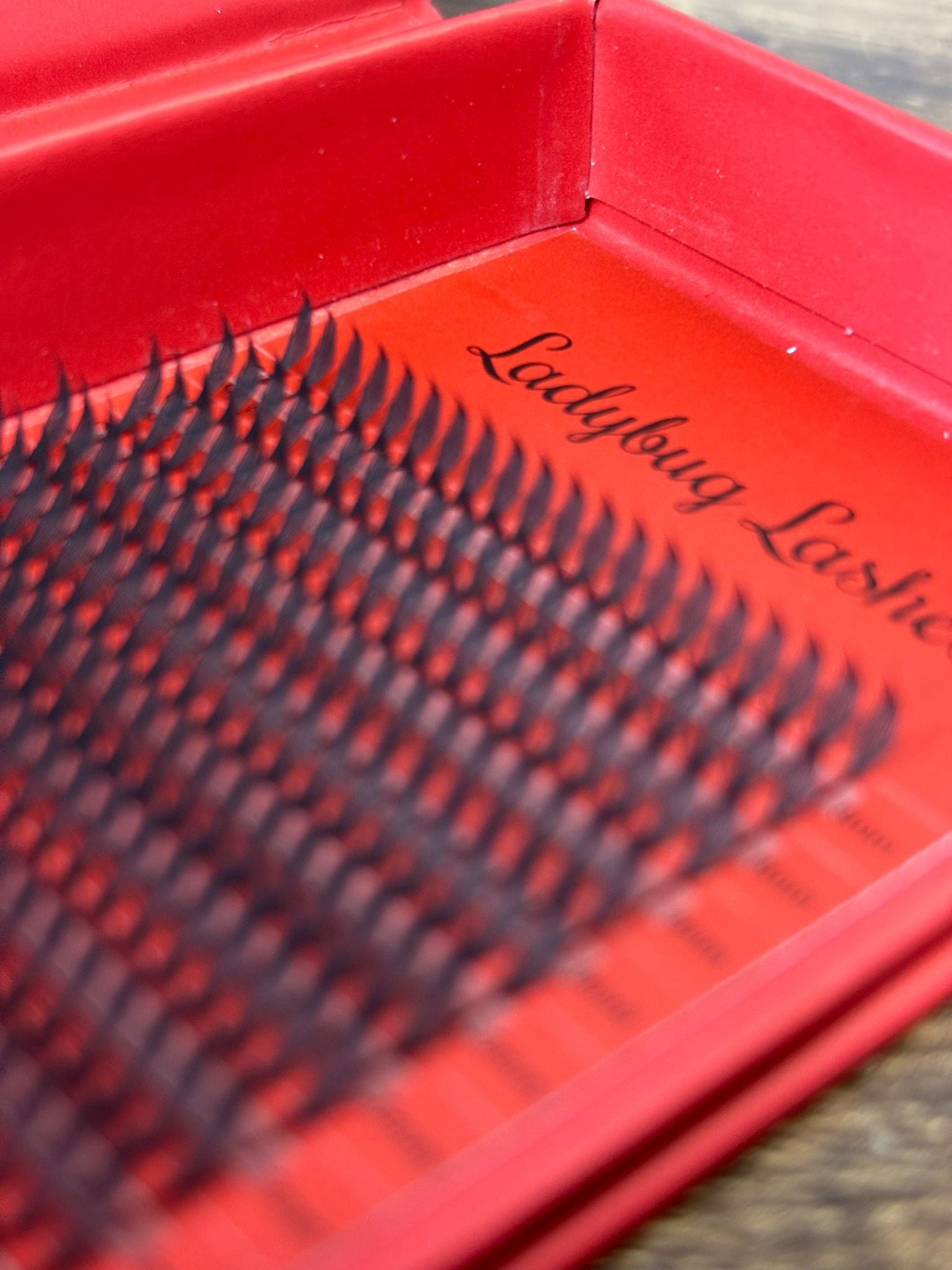 ladybuglashes lashglue lashtrays lashadhesive glueretention cloverlashes wlashes yylashes premades promades lashes