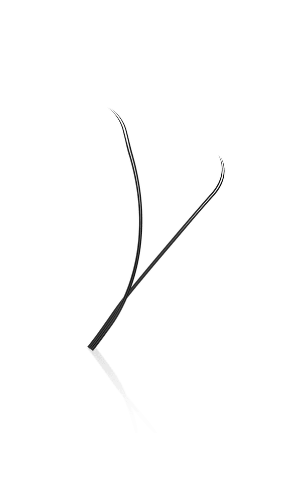 ladybuglashes lashglue lashtrays lashadhesive glueretention cloverlashes wlashes yylashes premades promades lashes