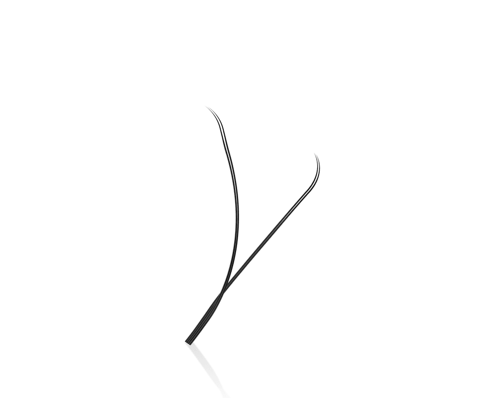 ladybuglashes lashglue lashtrays lashadhesive glueretention cloverlashes wlashes yylashes premades promades lashes