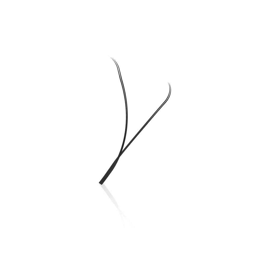 ladybuglashes lashglue lashtrays lashadhesive glueretention cloverlashes wlashes yylashes premades promades lashes