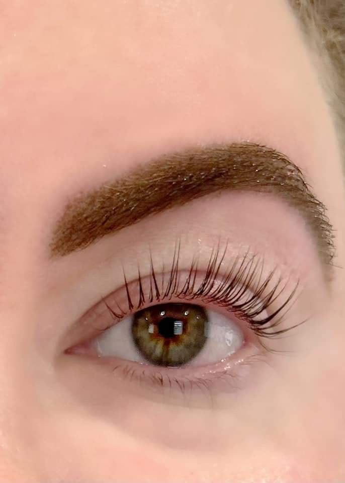 ladybuglashes lashglue lashtrays lashadhesive glueretention cloverlashes wlashes yylashes premades promades lashes