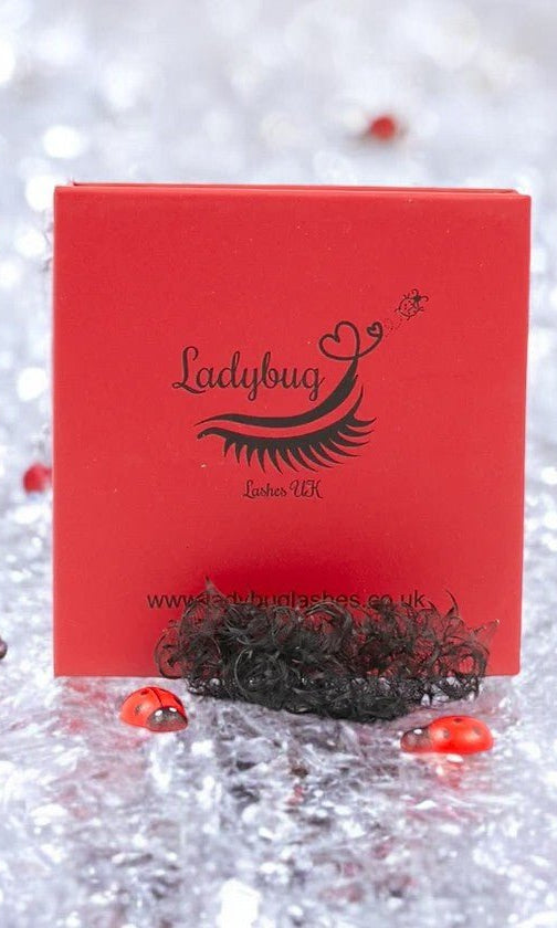 ladybuglashes lashglue lashtrays lashadhesive glueretention cloverlashes wlashes yylashes premades promades lashes