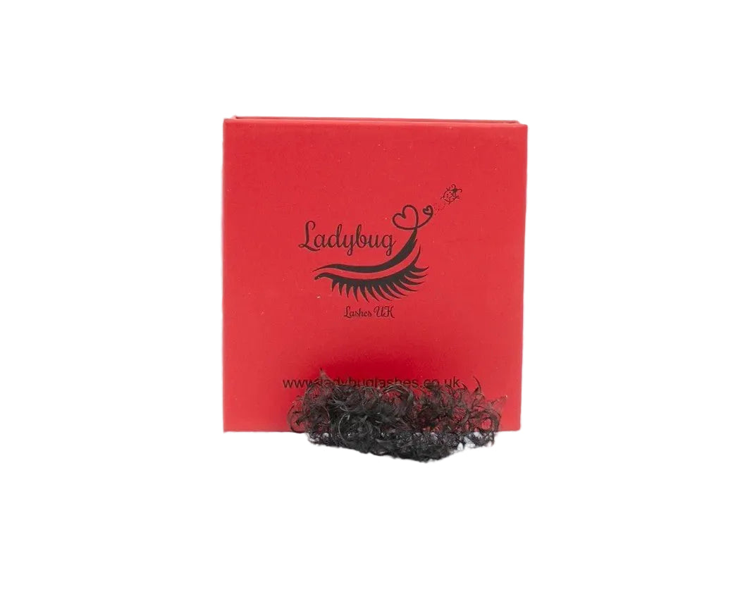 ladybuglashes lashglue lashtrays lashadhesive glueretention cloverlashes wlashes yylashes premades promades lashes