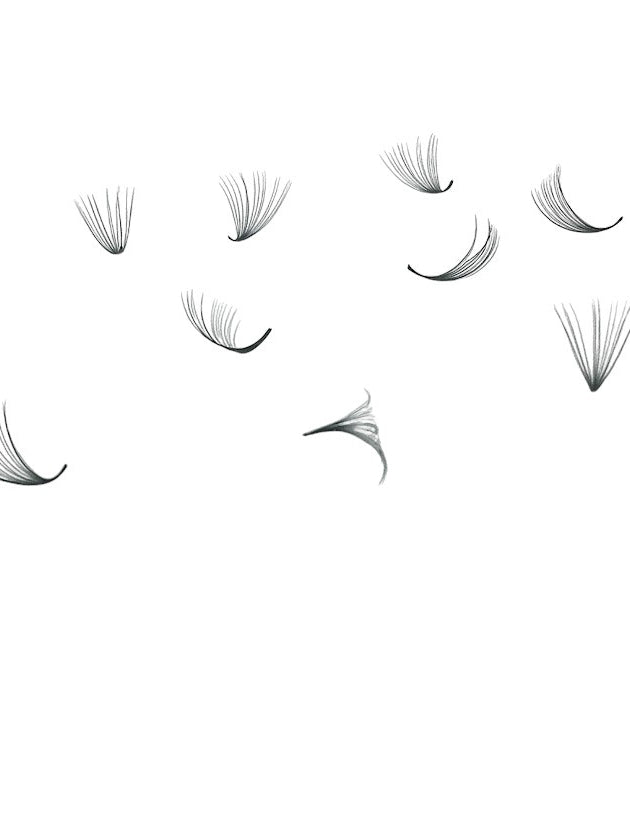 ladybuglashes lashglue lashtrays lashadhesive glueretention cloverlashes wlashes yylashes premades promades lashes