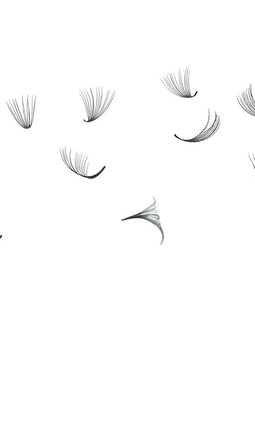 ladybuglashes lashglue lashtrays lashadhesive glueretention cloverlashes wlashes yylashes premades promades lashes