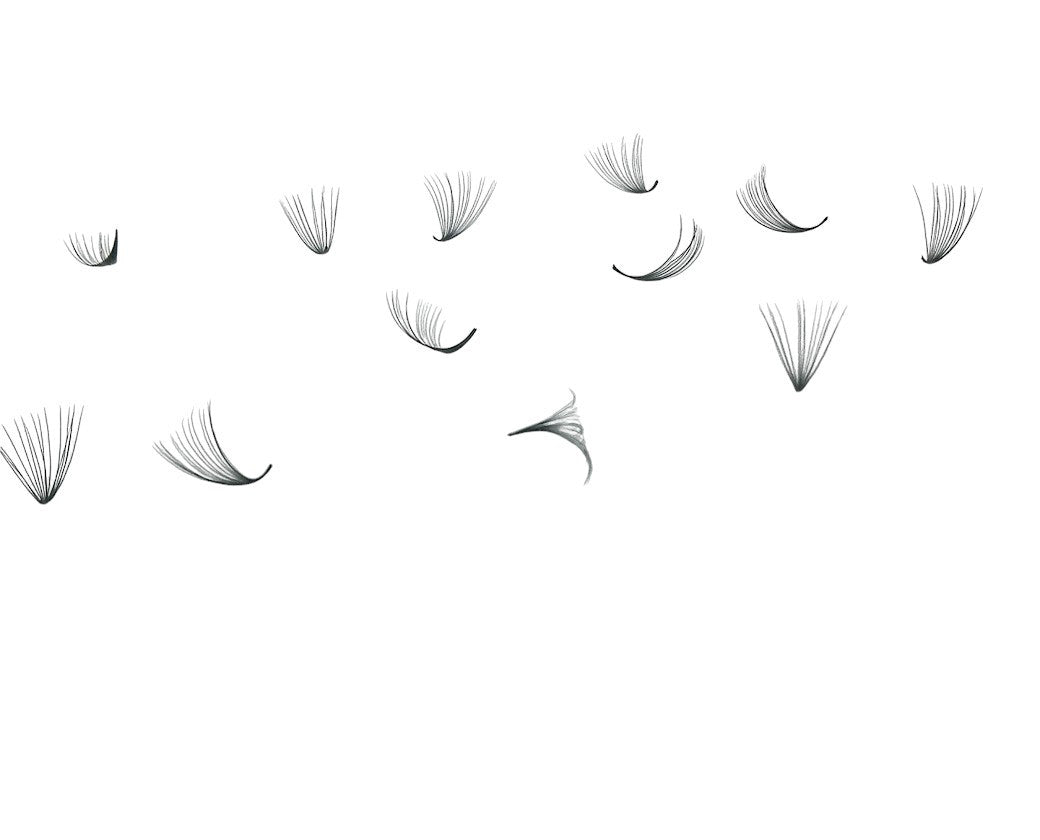 ladybuglashes lashglue lashtrays lashadhesive glueretention cloverlashes wlashes yylashes premades promades lashes