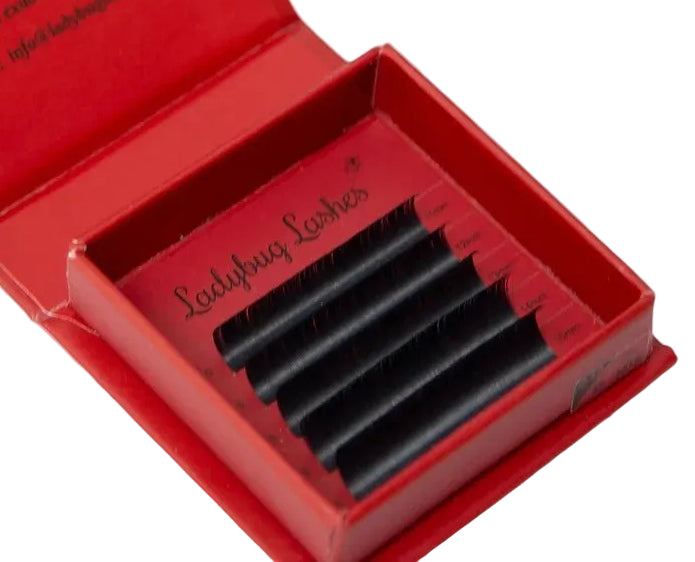ladybuglashes lashglue lashtrays lashadhesive glueretention cloverlashes wlashes yylashes premades promades lashes