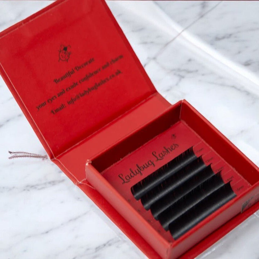 ladybuglashes lashglue lashtrays lashadhesive glueretention cloverlashes wlashes yylashes premades promades lashes