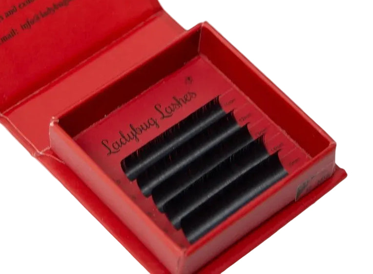 ladybuglashes lashglue lashtrays lashadhesive glueretention cloverlashes wlashes yylashes premades promades lashes