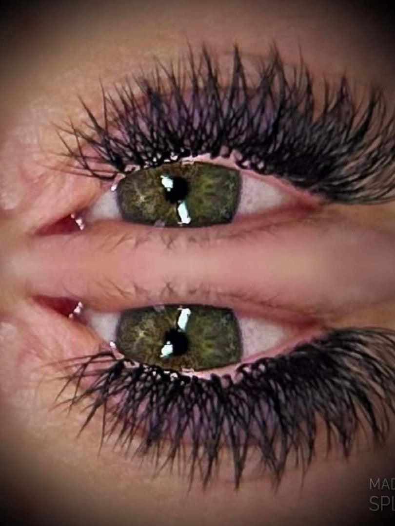 Ladybug Lashes W Lashes Mixed Tray 16 Rows