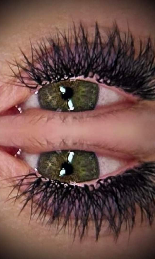 Ladybug Lashes W Lashes Mixed Tray 16 Rows