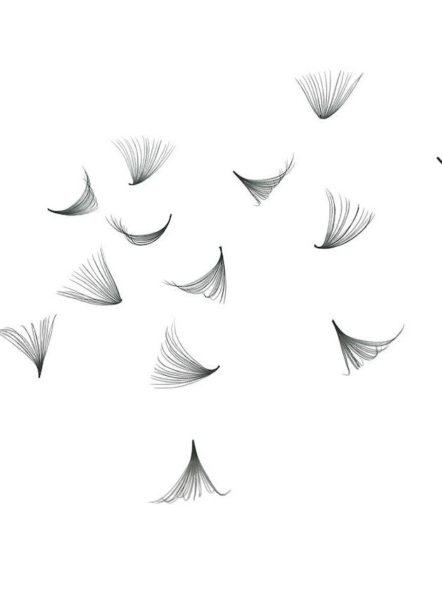 ladybuglashes lashglue lashtrays lashadhesive glueretention cloverlashes wlashes yylashes premades promades lashes