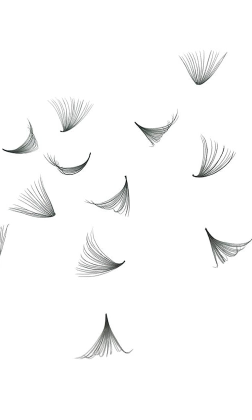 ladybuglashes lashglue lashtrays lashadhesive glueretention cloverlashes wlashes yylashes premades promades lashes