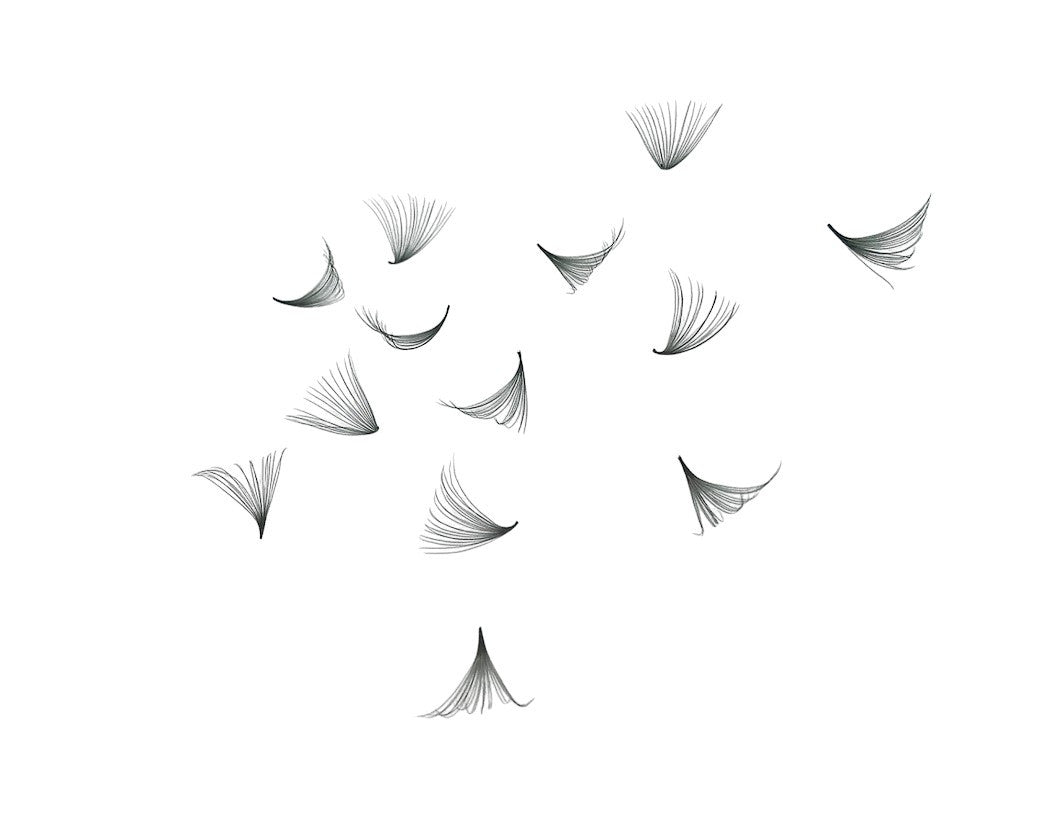 ladybuglashes lashglue lashtrays lashadhesive glueretention cloverlashes wlashes yylashes premades promades lashes