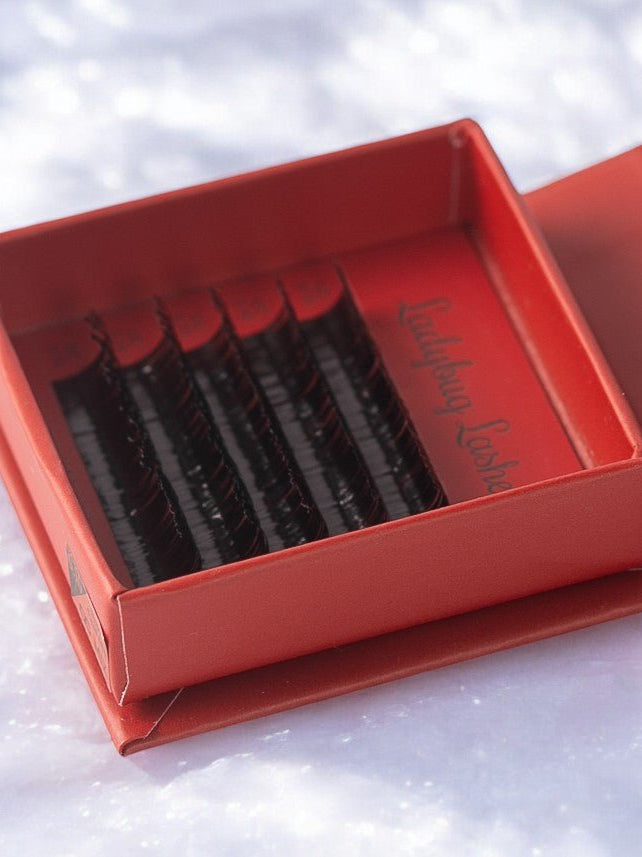 ladybuglashes lashglue lashtrays lashadhesive glueretention cloverlashes wlashes yylashes premades promades lashes