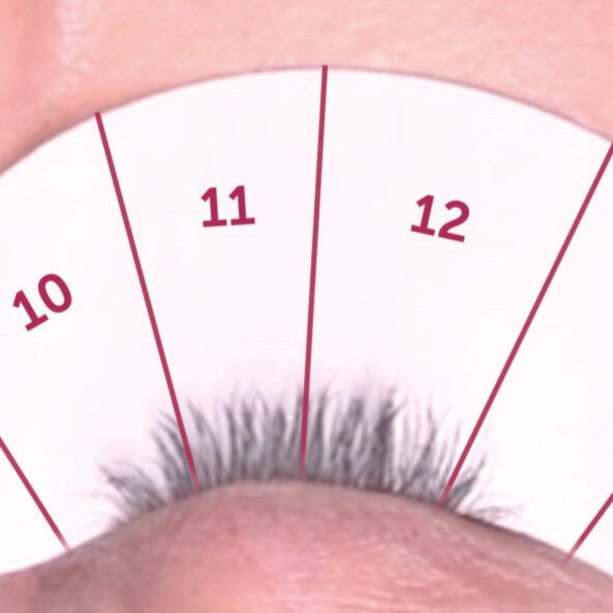 ladybuglashes lashglue lashtrays lashadhesive glueretention cloverlashes wlashes yylashes premades promades lashes