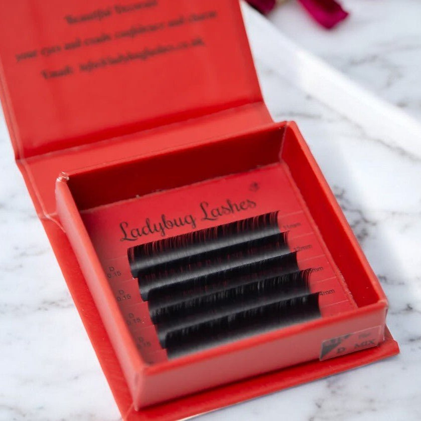 ladybuglashes lashglue lashtrays lashadhesive glueretention cloverlashes wlashes yylashes premades promades lashes