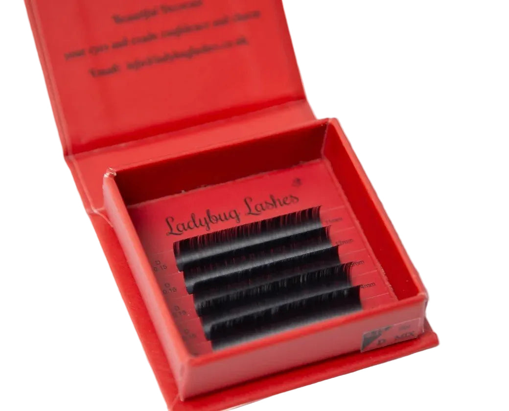ladybuglashes lashglue lashtrays lashadhesive glueretention cloverlashes wlashes yylashes premades promades lashes