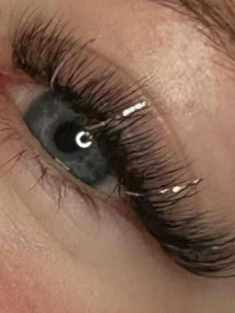 ladybuglashes lashglue lashtrays lashadhesive glueretention cloverlashes wlashes yylashes premades promades lashes