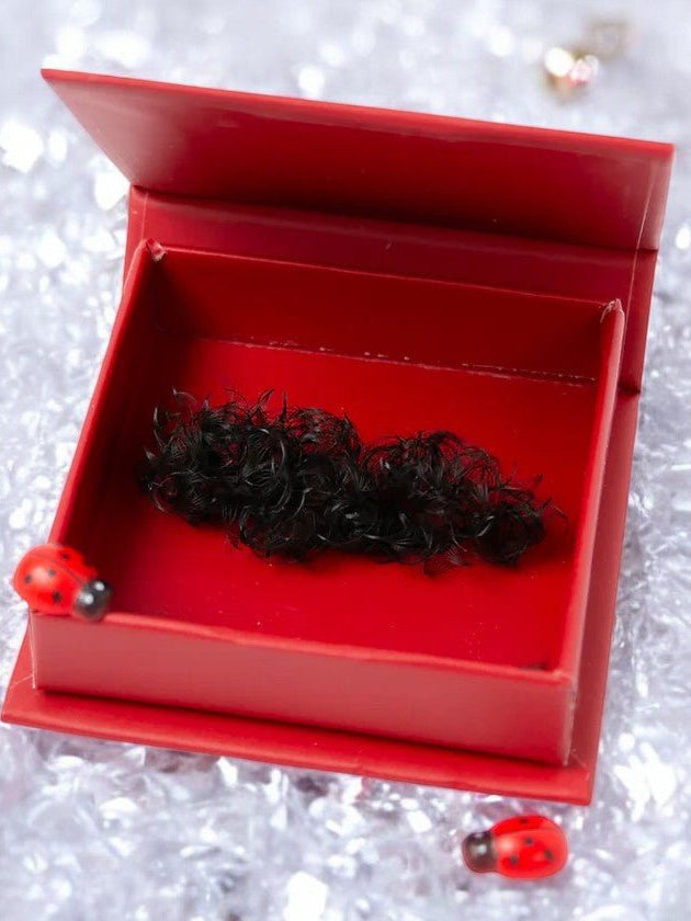 ladybuglashes lashglue lashtrays lashadhesive glueretention cloverlashes wlashes yylashes premades promades lashes