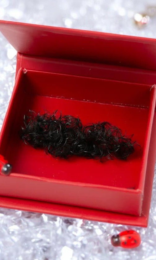 ladybuglashes lashglue lashtrays lashadhesive glueretention cloverlashes wlashes yylashes premades promades lashes