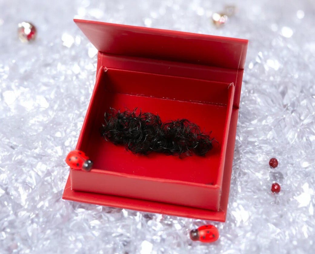 ladybuglashes lashglue lashtrays lashadhesive glueretention cloverlashes wlashes yylashes premades promades lashes