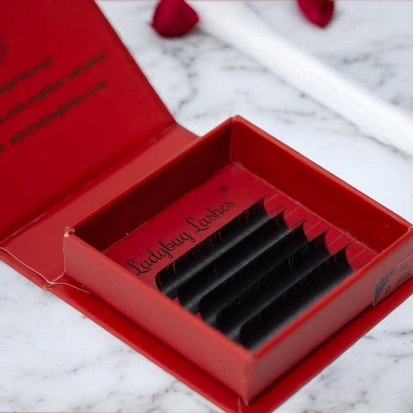 ladybuglashes lashglue lashtrays lashadhesive glueretention cloverlashes wlashes yylashes premades promades lashes