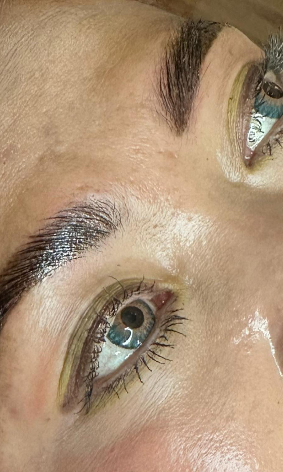 ladybuglashes lashglue lashtrays lashadhesive glueretention cloverlashes wlashes yylashes premades promades lashes