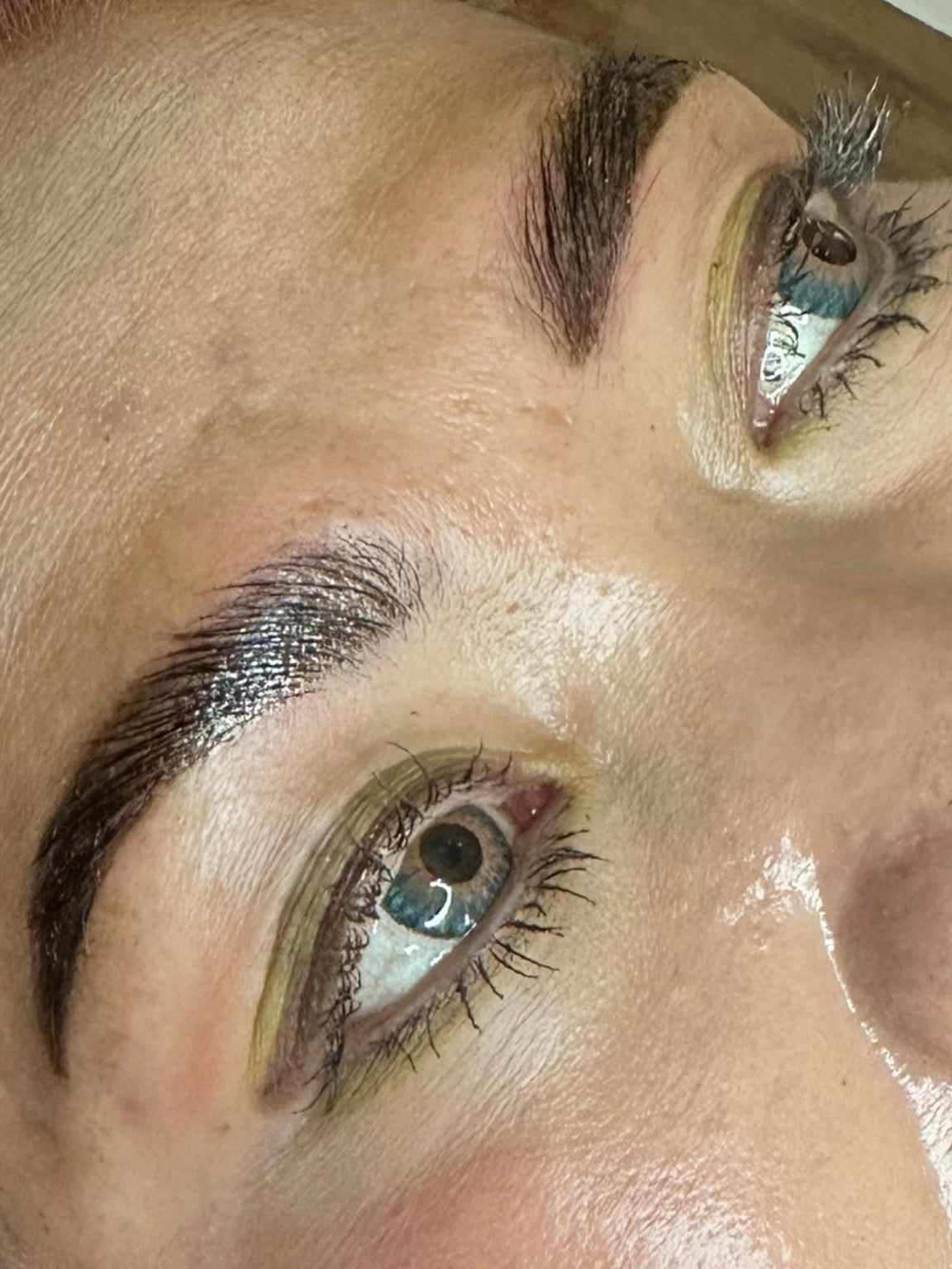 ladybuglashes lashglue lashtrays lashadhesive glueretention cloverlashes wlashes yylashes premades promades lashes