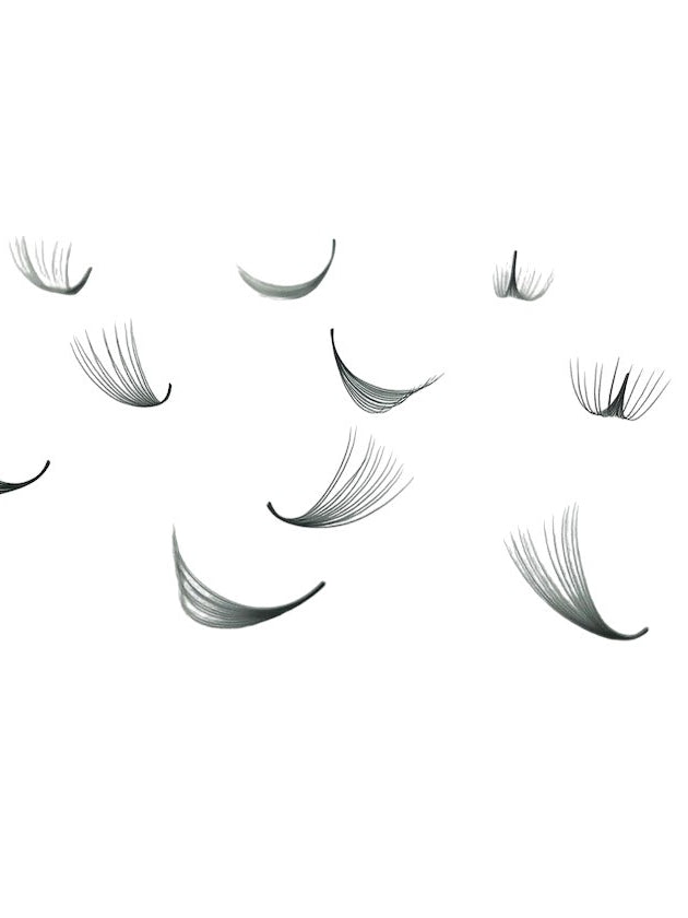 ladybuglashes lashglue lashtrays lashadhesive glueretention cloverlashes wlashes yylashes premades promades lashes