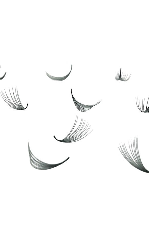 ladybuglashes lashglue lashtrays lashadhesive glueretention cloverlashes wlashes yylashes premades promades lashes