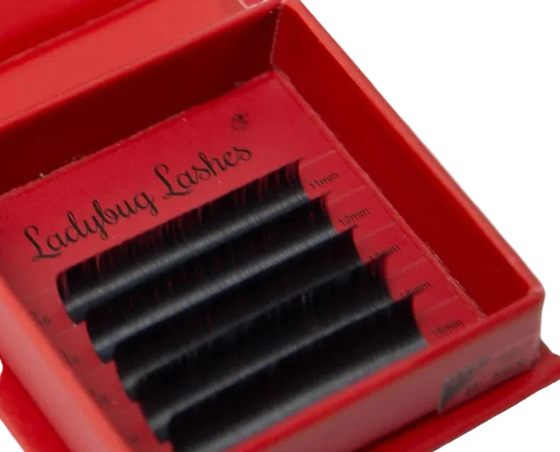 ladybuglashes lashglue lashtrays lashadhesive glueretention cloverlashes wlashes yylashes premades promades lashes