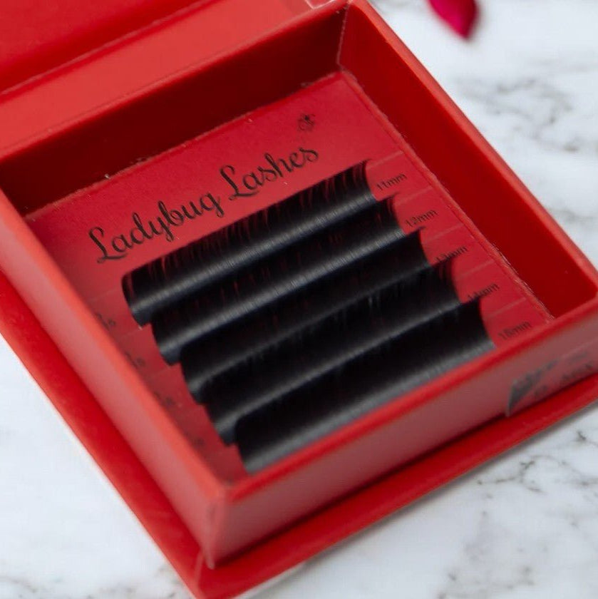 ladybuglashes lashglue lashtrays lashadhesive glueretention cloverlashes wlashes yylashes premades promades lashes