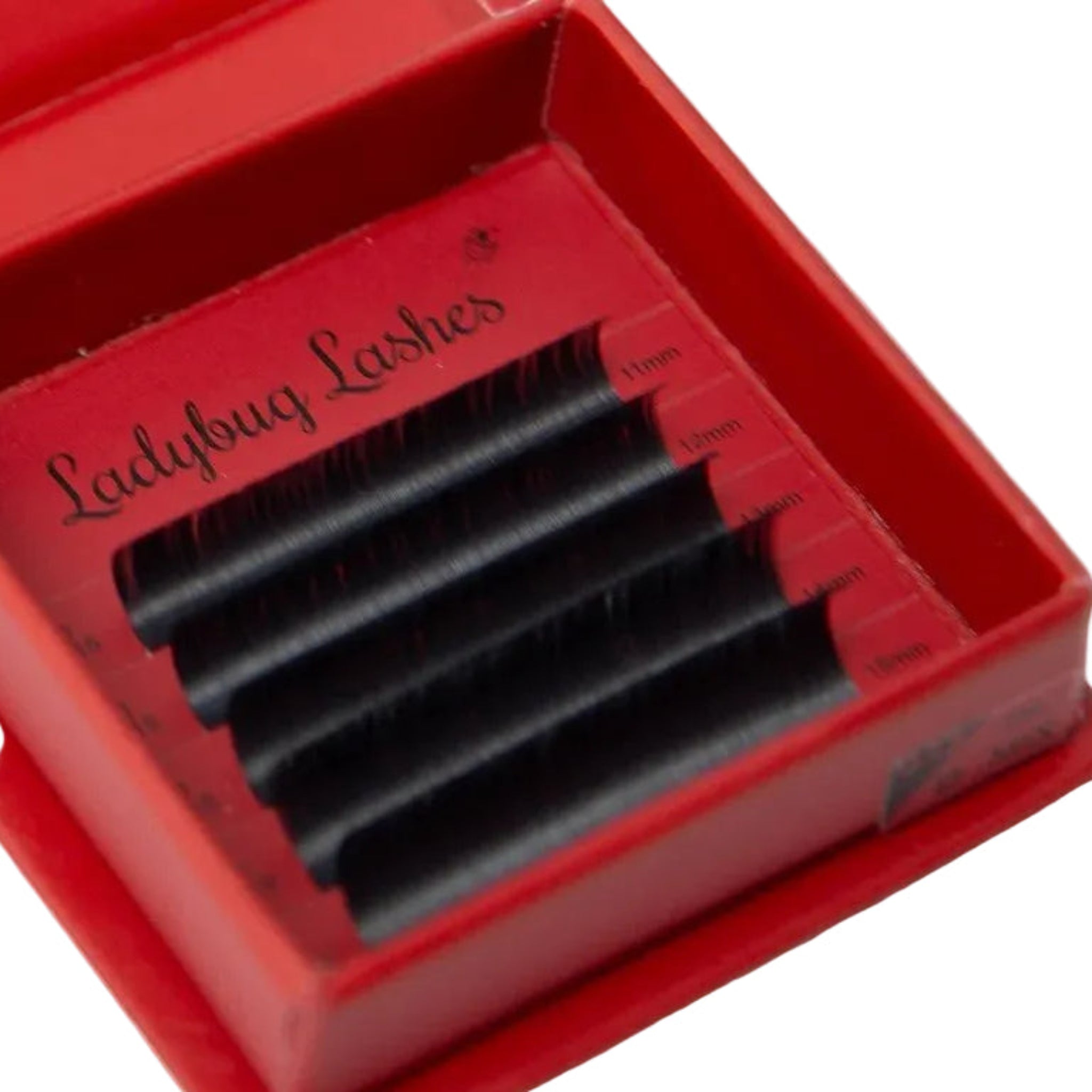 ladybuglashes lashglue lashtrays lashadhesive glueretention cloverlashes wlashes yylashes premades promades lashes