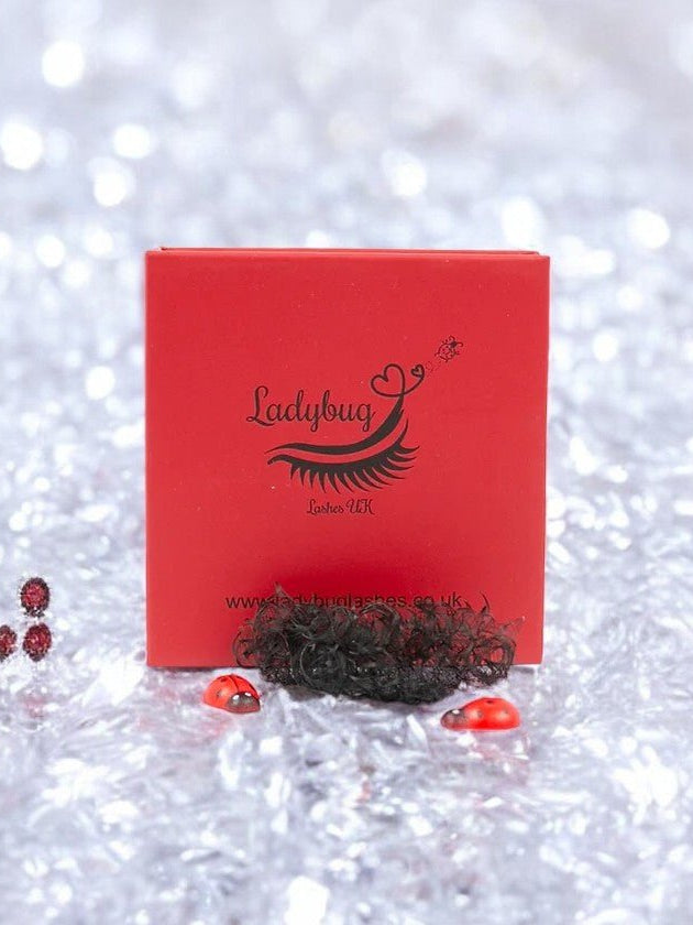 ladybuglashes lashglue lashtrays lashadhesive glueretention cloverlashes wlashes yylashes premades promades lashes