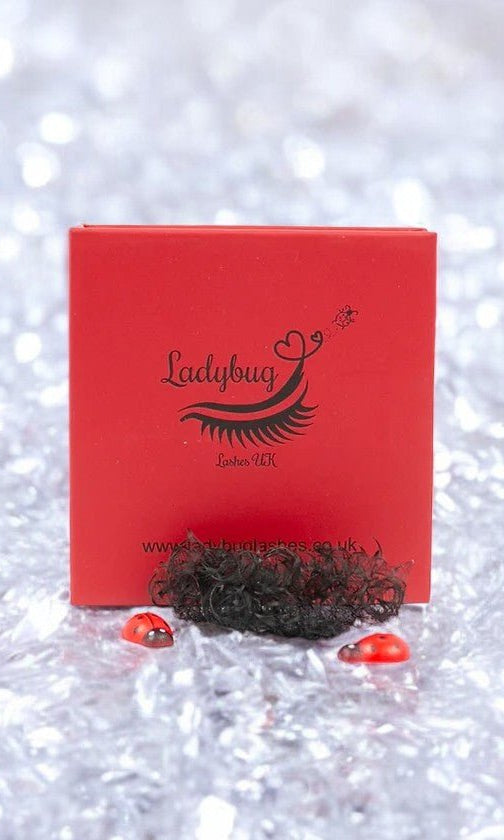 ladybuglashes lashglue lashtrays lashadhesive glueretention cloverlashes wlashes yylashes premades promades lashes