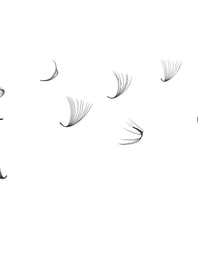 ladybuglashes lashglue lashtrays lashadhesive glueretention cloverlashes wlashes yylashes premades promades lashes