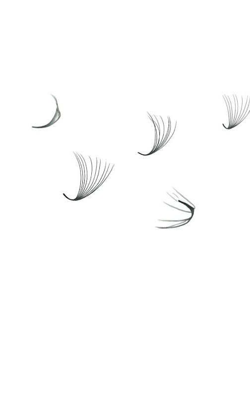 ladybuglashes lashglue lashtrays lashadhesive glueretention cloverlashes wlashes yylashes premades promades lashes