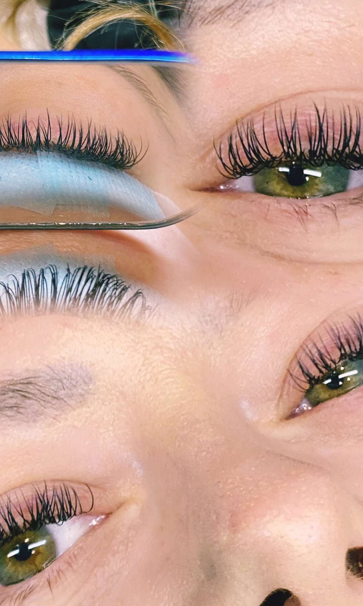 ladybuglashes lashglue lashtrays lashadhesive glueretention cloverlashes wlashes yylashes premades promades lashes