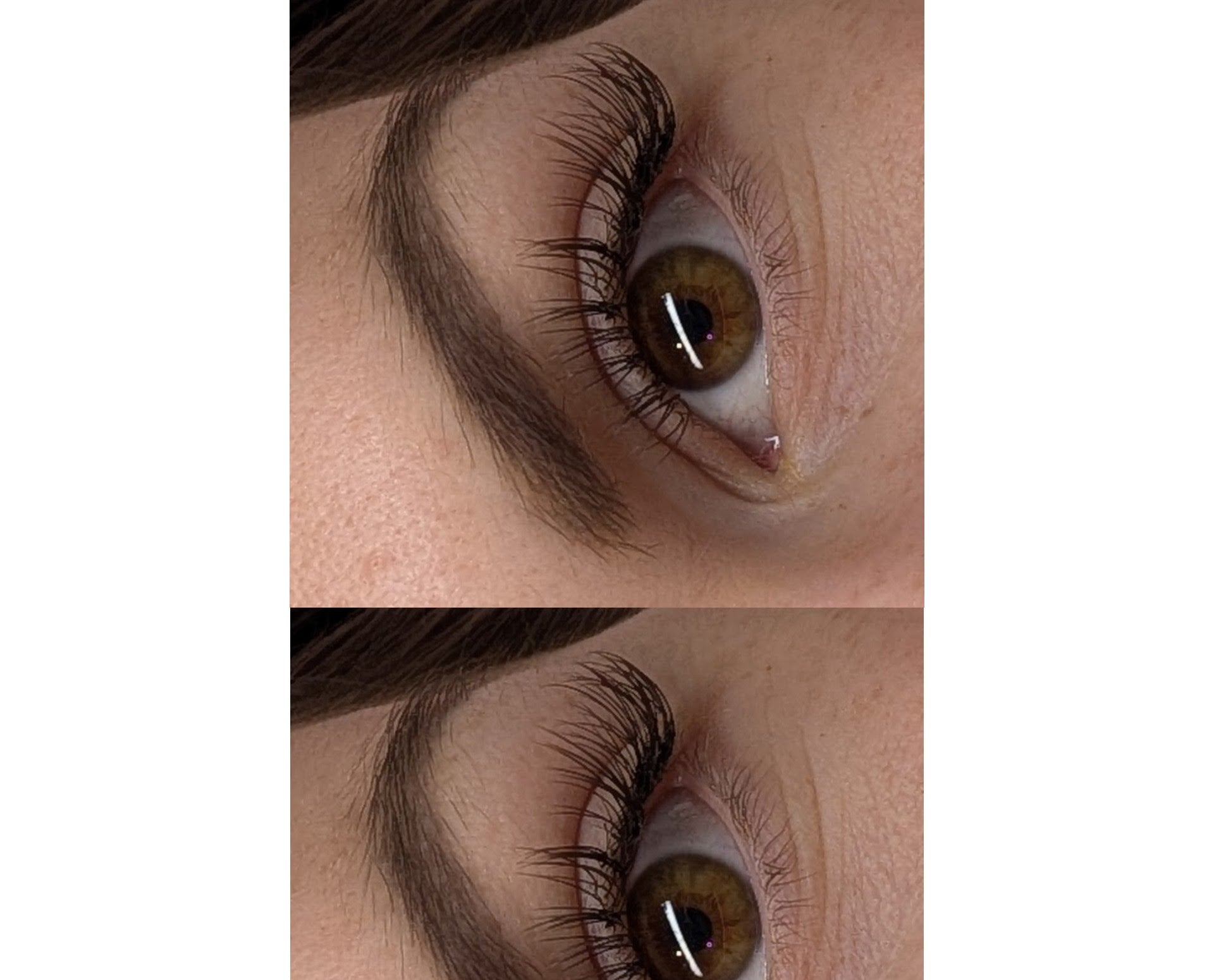 Cashmere Flat Classics – 16 Row Mixed Tray in Brown 🤎🤎 or Caramel 🤎🤎