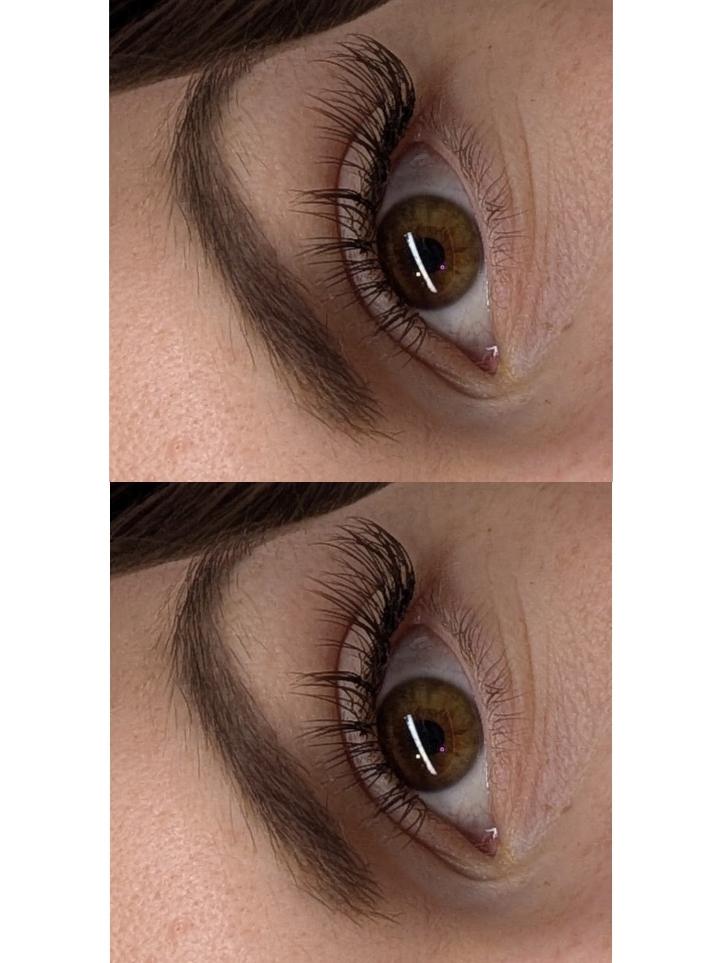 Cashmere Flat Classics – 16 Row Mixed Tray in Brown 🤎🤎 or Caramel 🤎🤎