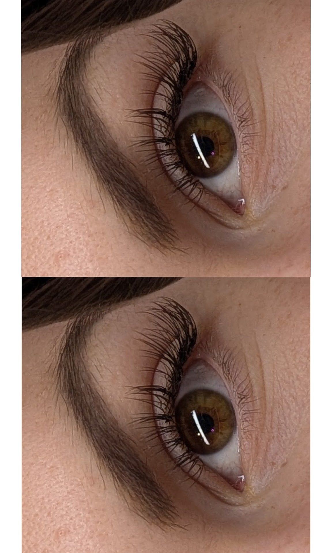 Cashmere Flat Classics – 16 Row Mixed Tray in Brown 🤎🤎 or Caramel 🤎🤎